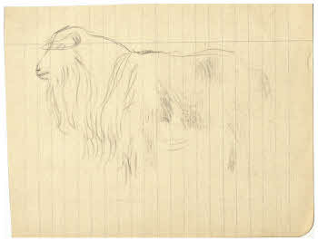 Visualizza l'immagine "FD D 171"